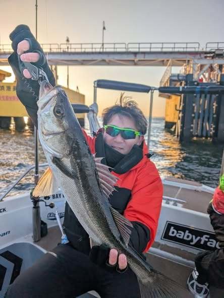 シーバス(スズキ)