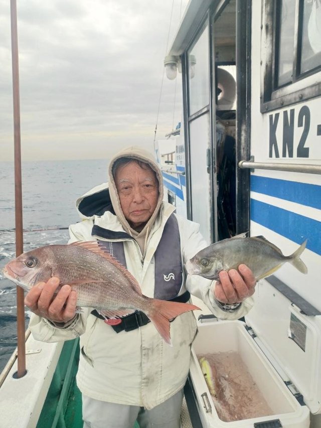 マダイ・カイワリ