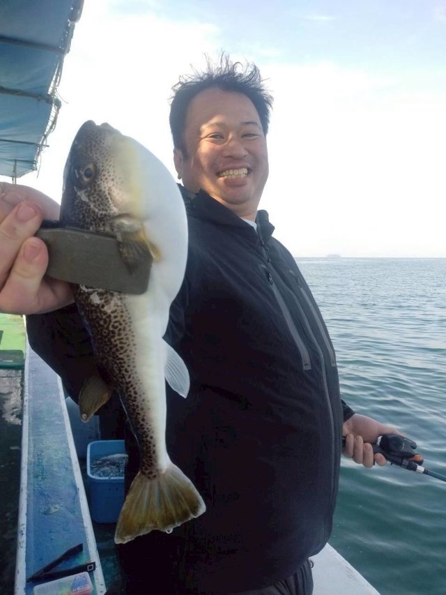 ショウサイフグ