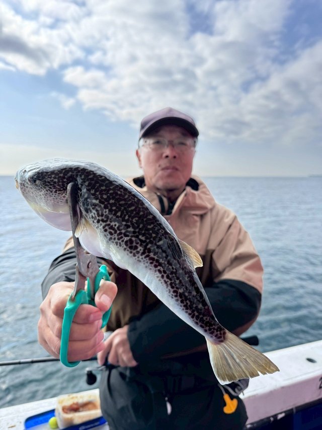 ショウサイフグ