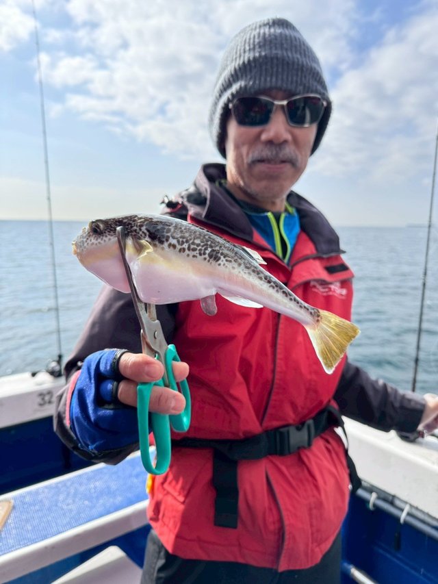 ショウサイフグ