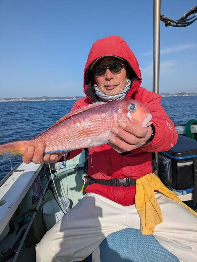 アマダイ(アカアマダイ)