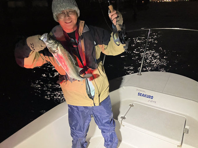 シーバス(スズキ)