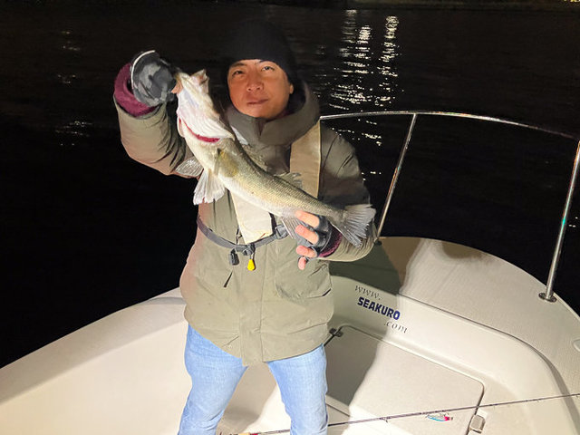 シーバス(スズキ)