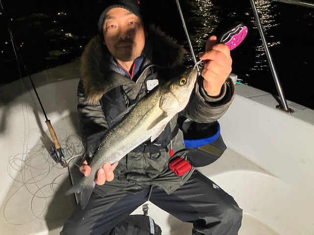 シーバス(スズキ)