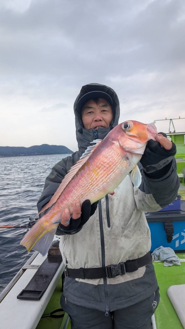 アマダイ(アカアマダイ)