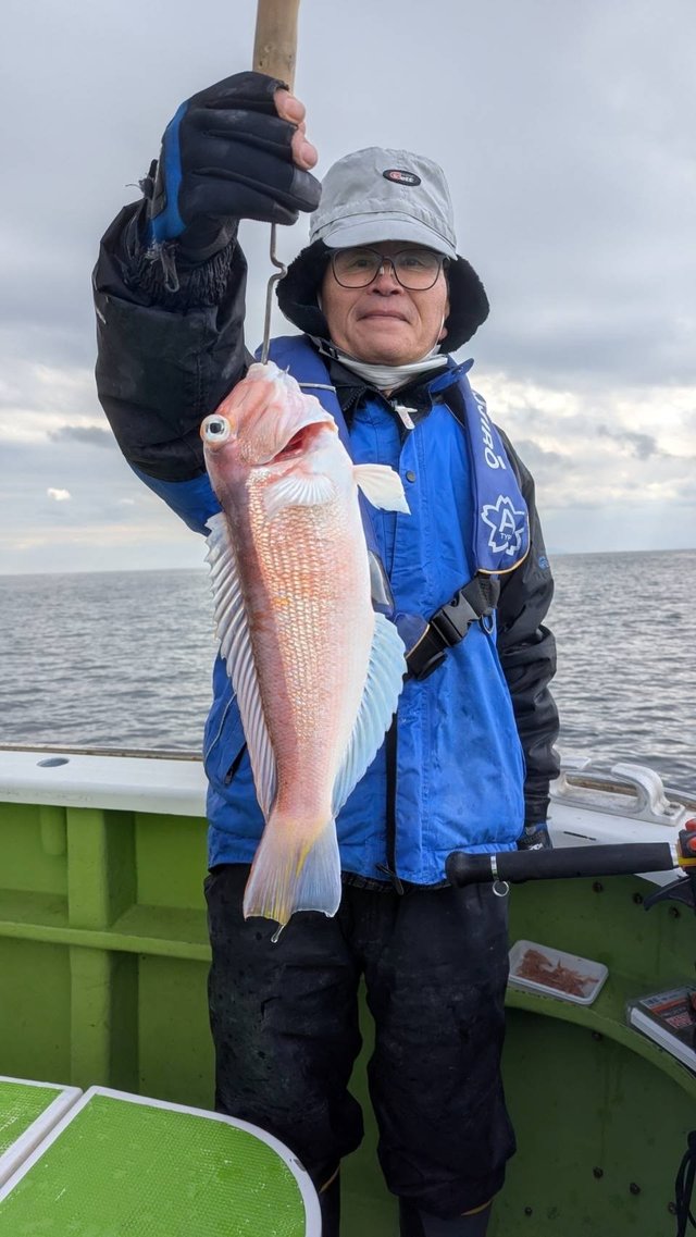 アマダイ(アカアマダイ)