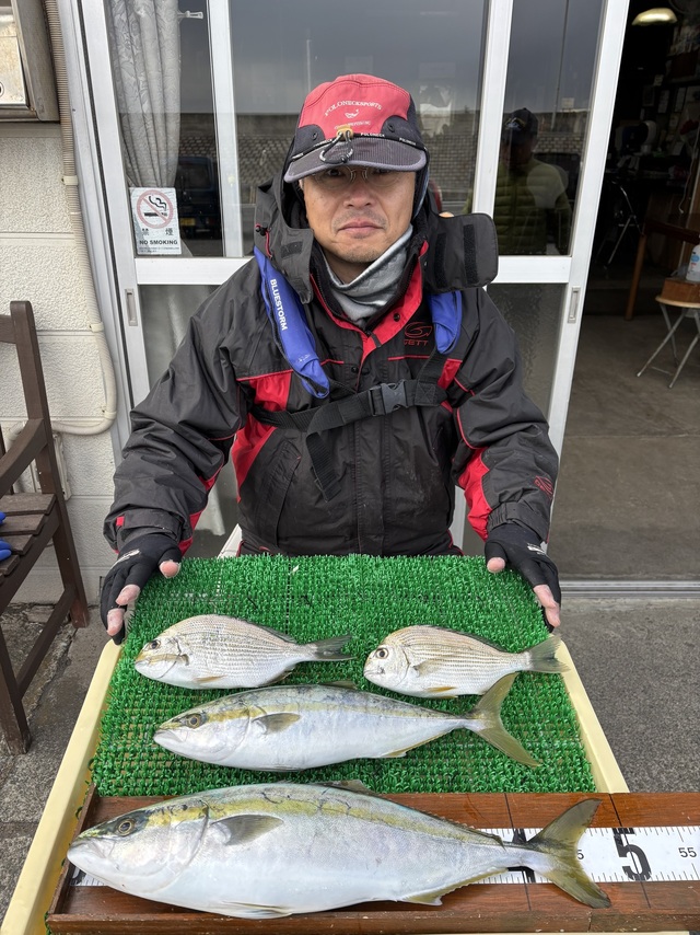 ヘダイ・イナダ(ブリ)