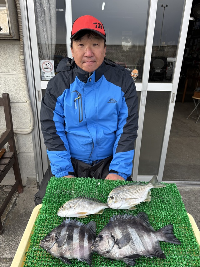 ヘダイ・イシダイ