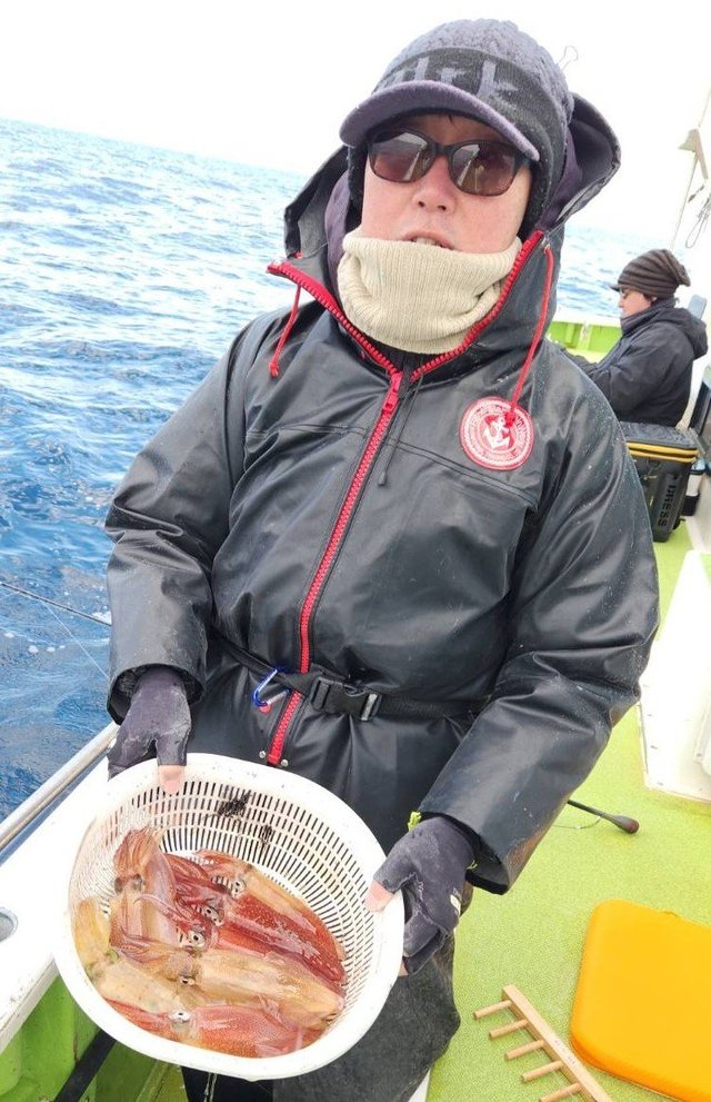 マルイカ(ケンサキイカ)