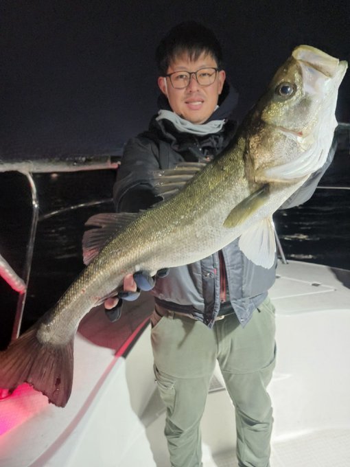 シーバス(スズキ)