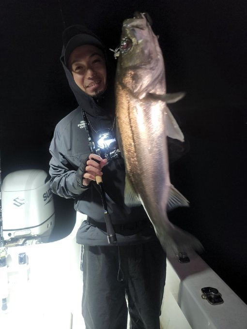 シーバス(スズキ)