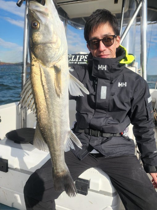 シーバス(スズキ)