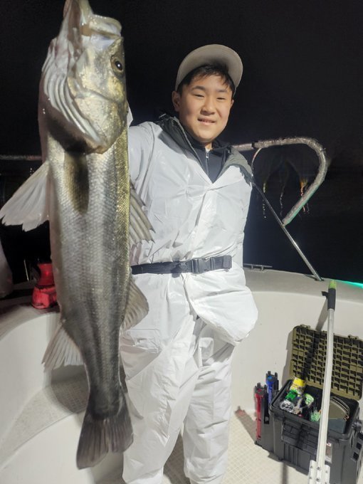 シーバス(スズキ)