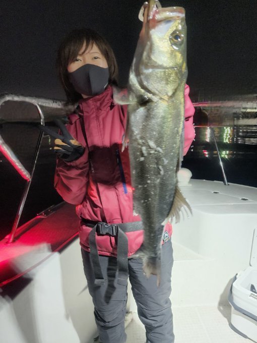 シーバス(スズキ)