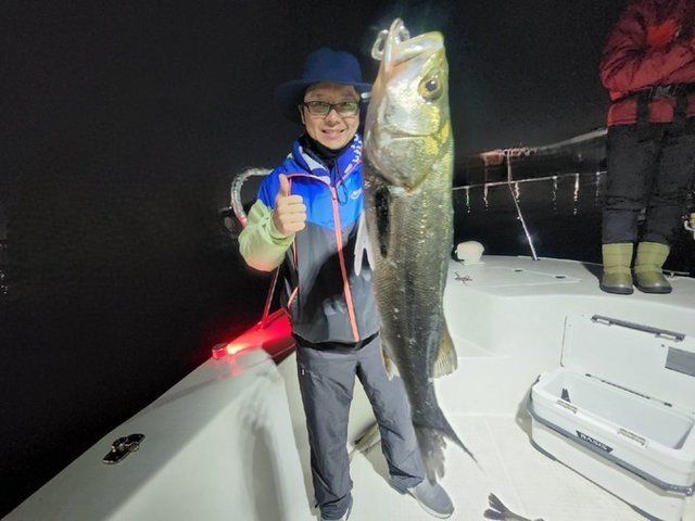 シーバス(スズキ)