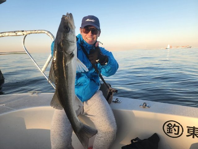 シーバス(スズキ)