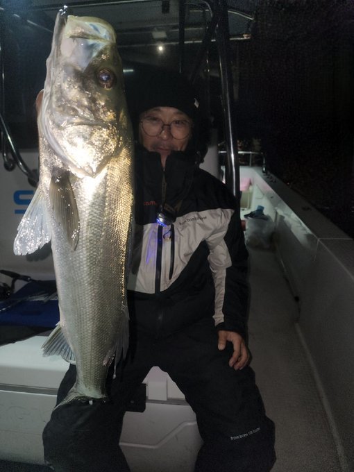 シーバス(スズキ)