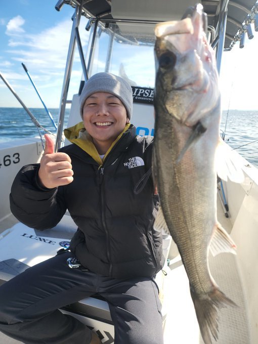 シーバス(スズキ)