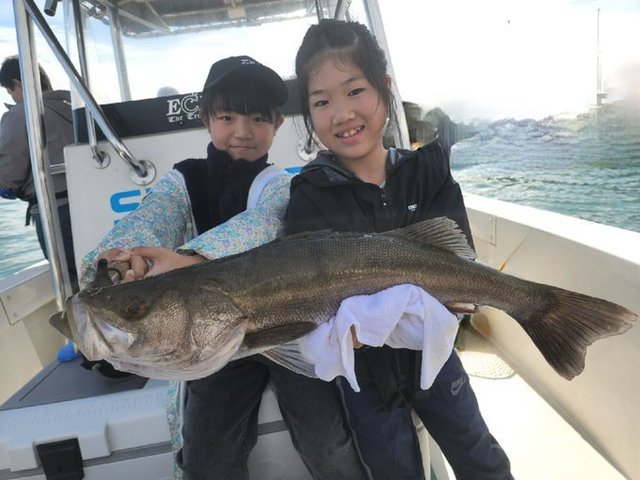 シーバス(スズキ)