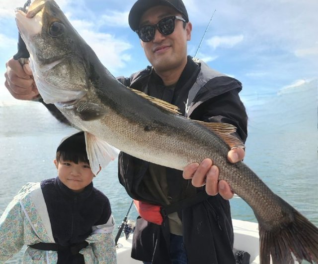 シーバス(スズキ)