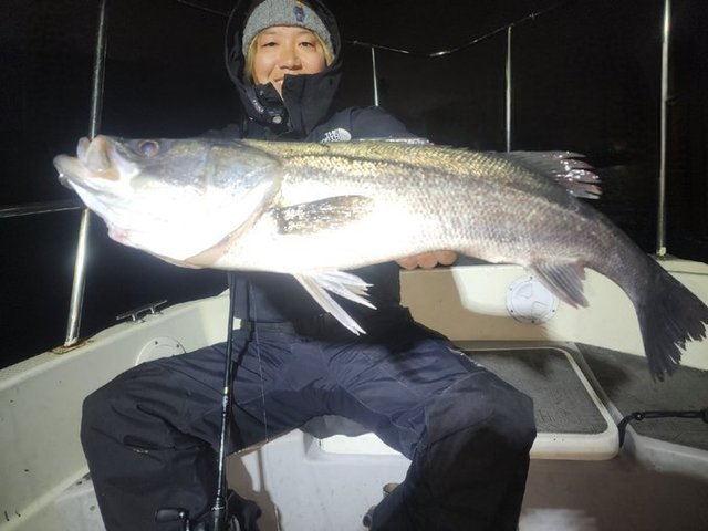 シーバス(スズキ)