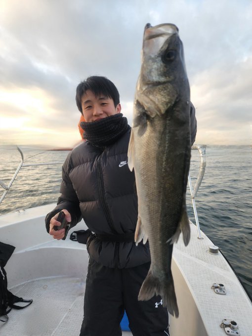 シーバス(スズキ)