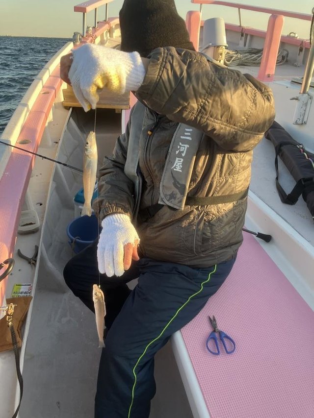 キス(シロギス)