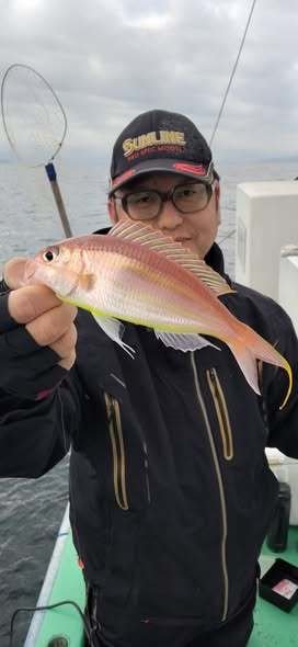 イトヨリ(イトヨリダイ)