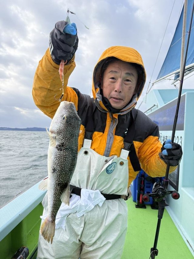 フグ(ショウサイフグ)