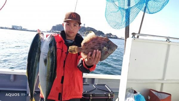 イナダ(ブリ)・カワハギ