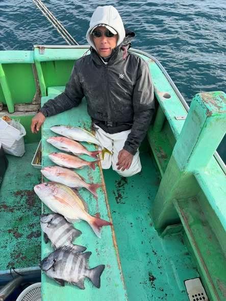 マダイ・イシダイ・イナダ(ブリ)