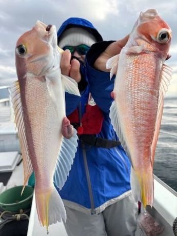 アマダイ(アカアマダイ)