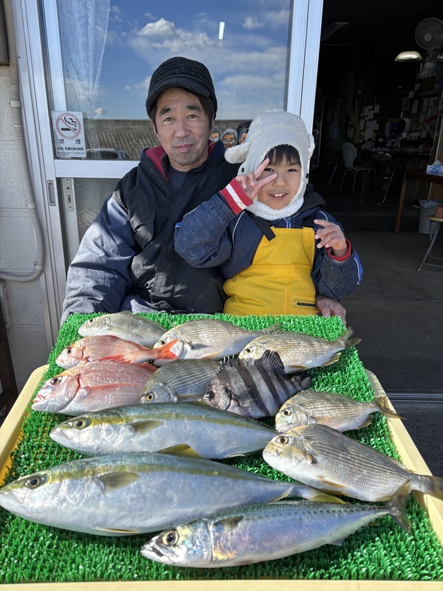 ヘダイ・イナダ(ブリ)