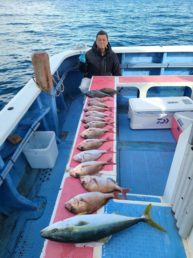 マダイ・ワラサ(ブリ)