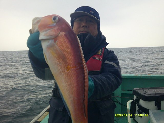 アマダイ(アカアマダイ)