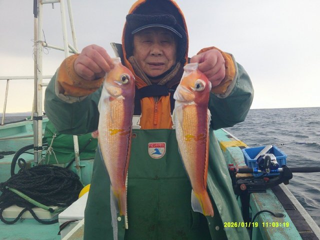 アマダイ(アカアマダイ)