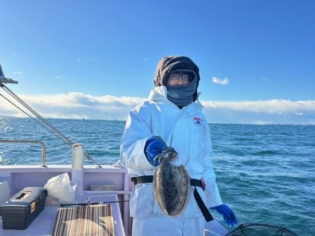 スミイカ(コウイカ)