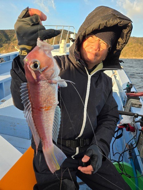 アマダイ(アカアマダイ)