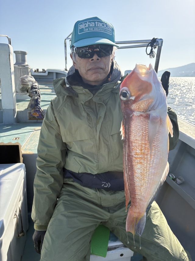 アマダイ(アカアマダイ)