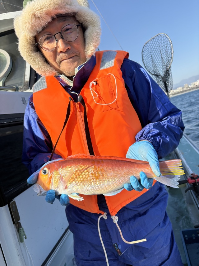 アマダイ(アカアマダイ)