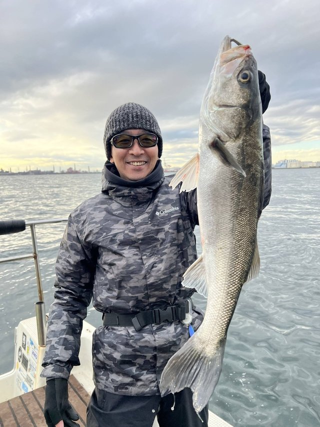 シーバス(スズキ)