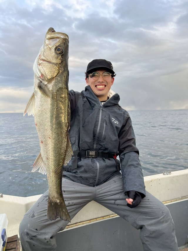 シーバス(スズキ)