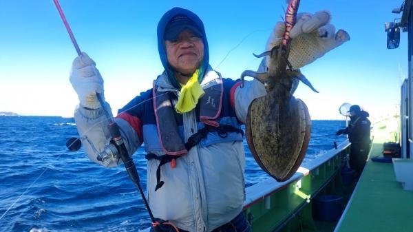 モンゴウイカ(カミナリイカ)