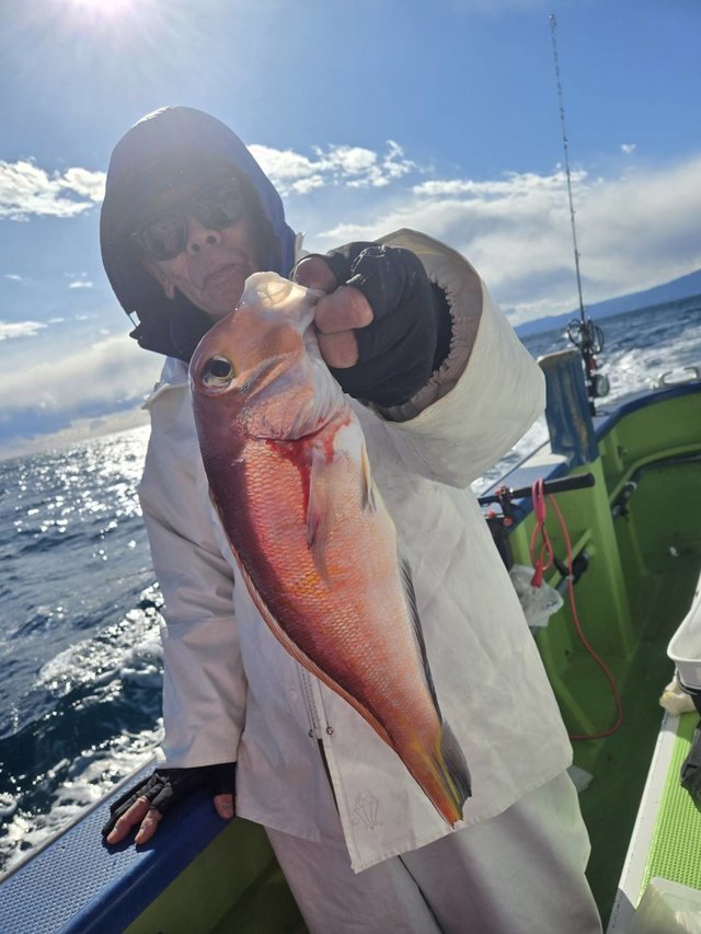 アマダイ(アカアマダイ)