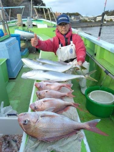 マダイ・ワラサ(ブリ)