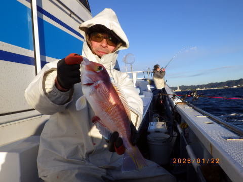 アマダイ(アカアマダイ)