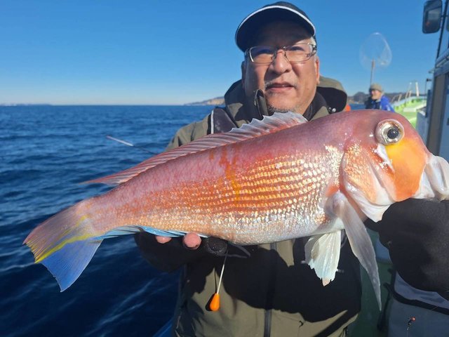 アマダイ(アカアマダイ)