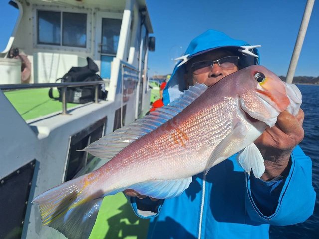 アマダイ(アカアマダイ)