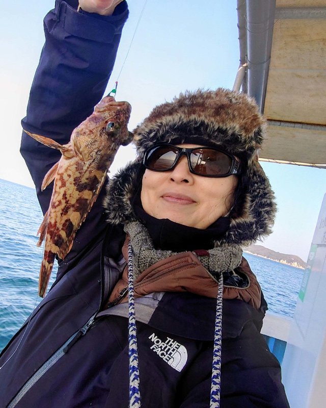 ガシラ(カサゴ)